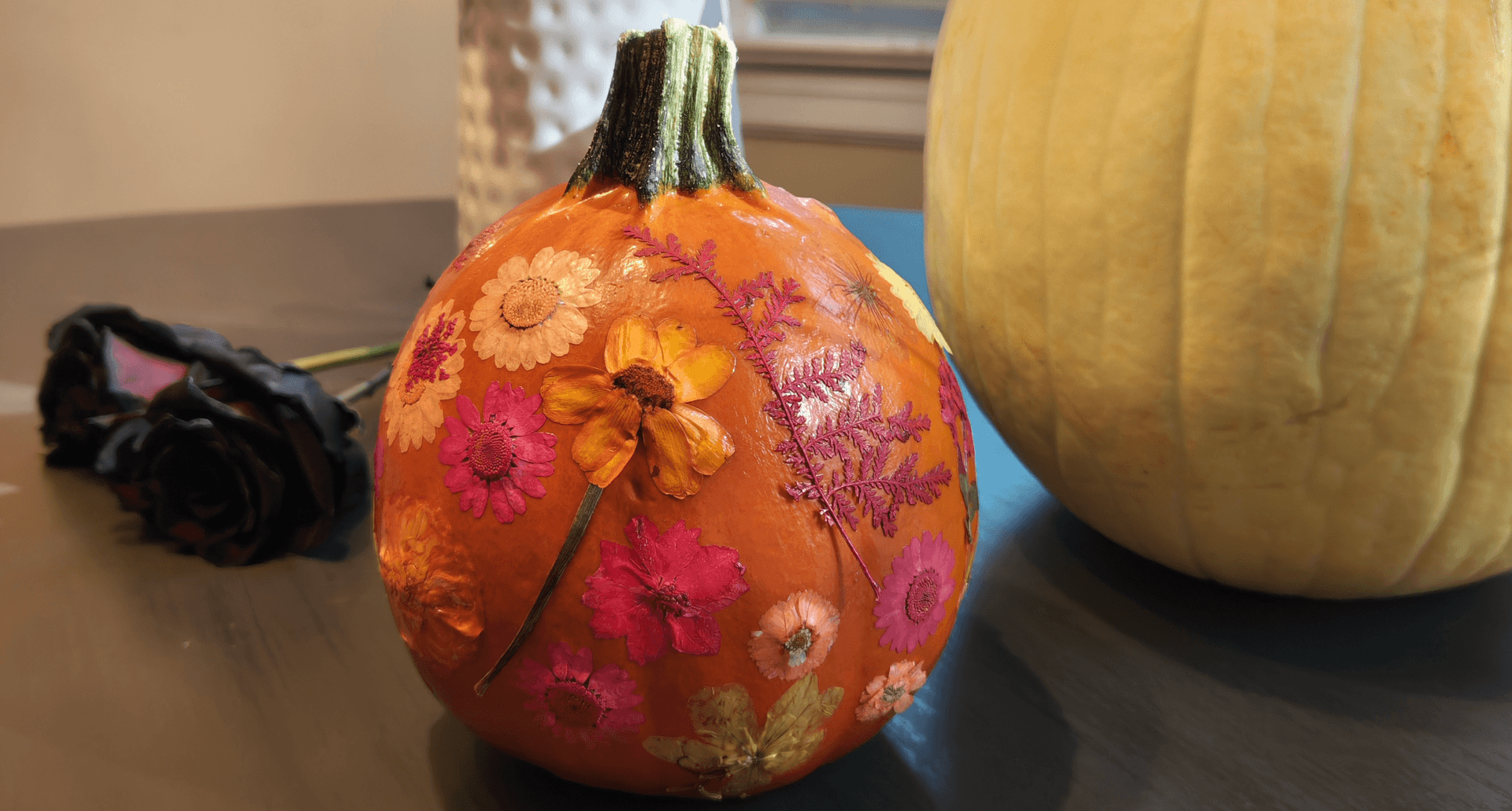 pressed flower pumpkins