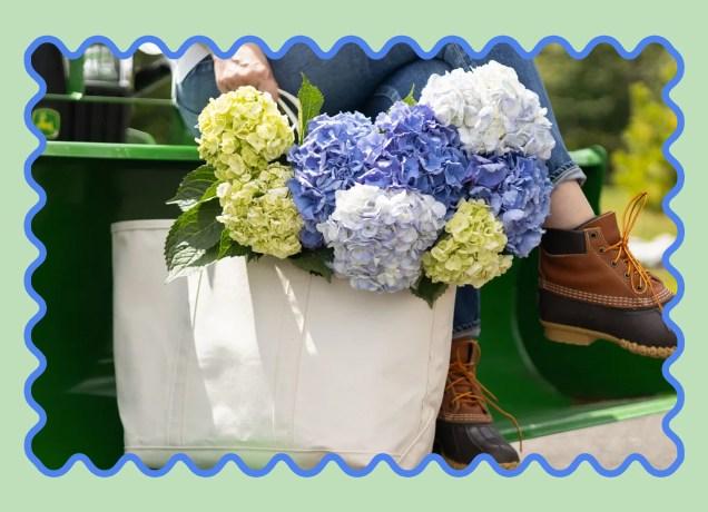 farmgirl flowers x ll bean collab: hydrangeas arrangement in boat & tote tote bag