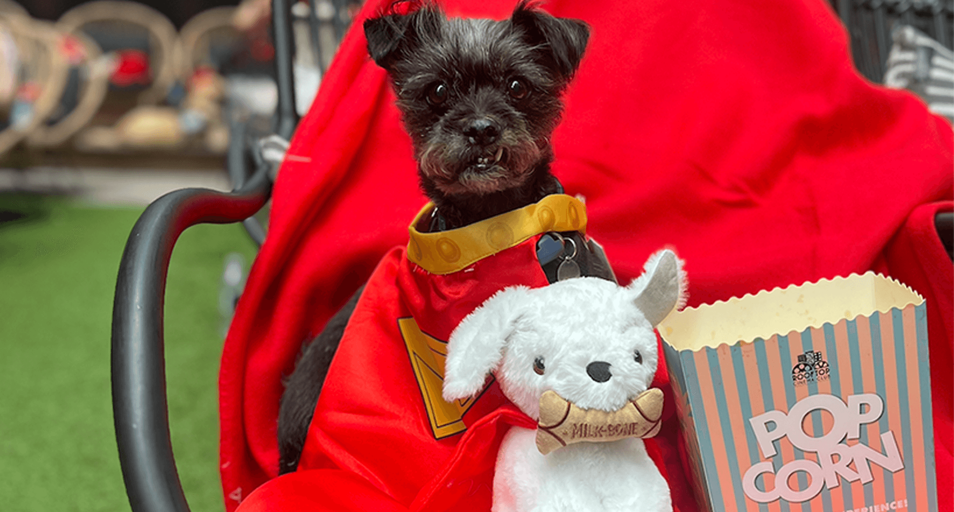 supergirl review dog