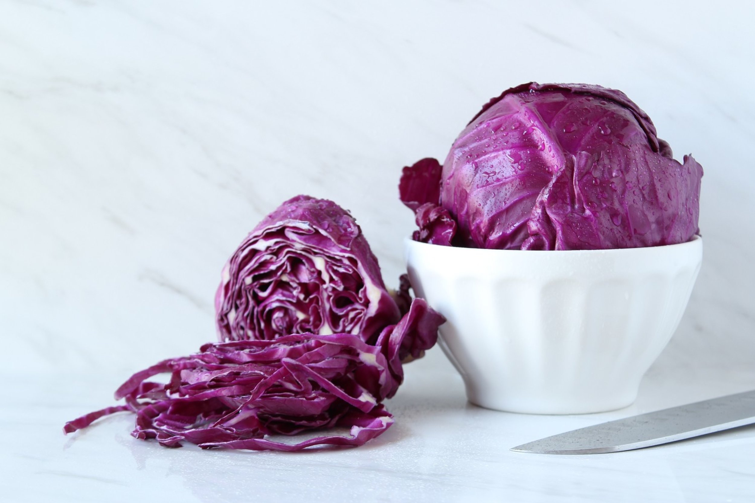 can i feed my dog red cabbage